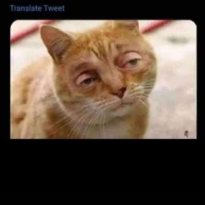 AlfaGodschild's profile picture. 