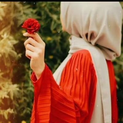 nimranoor455510's profile picture. 