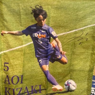 大卒外野手 両投げ左打ち 木﨑あおい選手の個サポ ドラゴンフライズブースターでYUZUKIさん推し🧚 MVP信者の応援研究家 阪神ファン🐯遊戯王ガチ勢→@gamioneer7 跳ばない奴はサガン鳥栖　無断転載するやつもサガン鳥栖