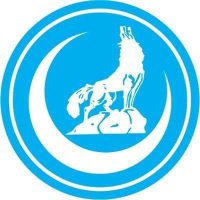Siirt Ülkü Ocakları (@siirtocak) Twitter profile photo