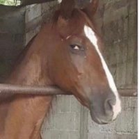 Curmudgeon-in-Chief (@genxpatriate) 's Twitter Profile Photo