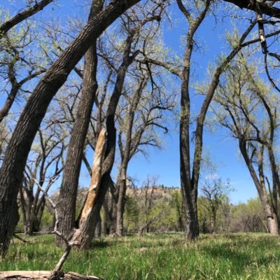 hokies2023's profile picture. Irrational VT Football Fan