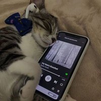 luci (@luciamcast) 's Twitter Profile