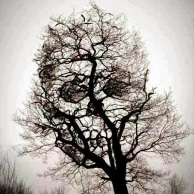 MizeurMark37331's profile picture. 