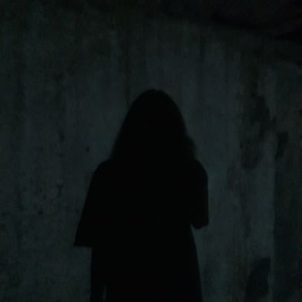 bokiw666's profile picture. YOU'LL NEVER WALK ALONE