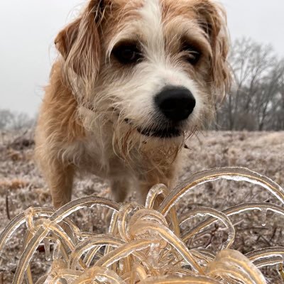 HutchNstufF13's profile picture. 