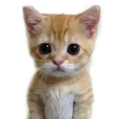 HastaQueSane's profile picture. ...