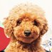 Banbi chan (@banbianchan) Twitter profile photo Banbi chan (@banbianchan) Twitter profile photo