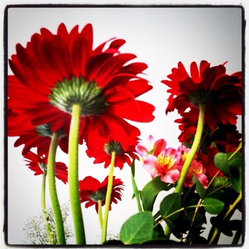 Airenica's profile picture. 