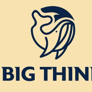 BigThinkltd Profile Picture