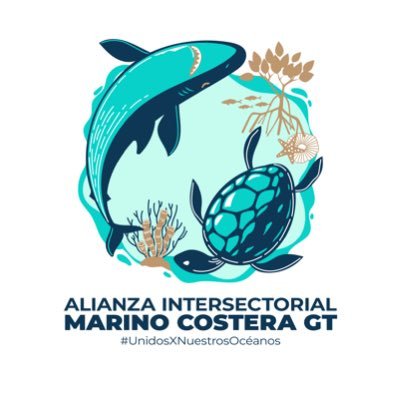 AlianzaMC_GT Profile Picture