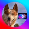cal6910's profile picture. #HEX | #Pulsechain | #PulseX I #Inc