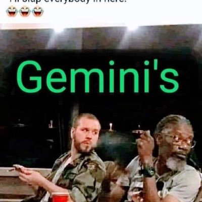 LilFoxlovers's profile picture. 