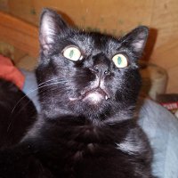 JimC (@jim_was_bad) 's Twitter Profile