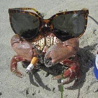 my motto in life is if you doodoo on yourself… and i live by that