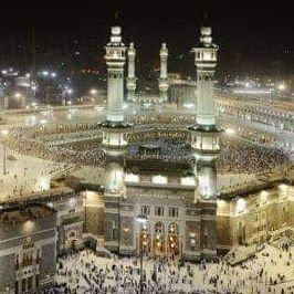 halima0882's profile picture. الراحة ليست دائمًا في تحقيق ما تُريد؛ بل في مدى إدراكك بالبركة فيما لديك