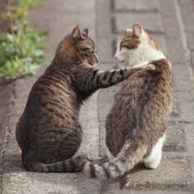 明治28年ベルリン生まれ。現在タイムトラベル中。平日は21世紀の民間人に変装してます。ビール、お寿司、焼き鳥、車(ジムニー、ラパン)、アニメ、ゲーム、ロリィタ、ゴシック、皇子、制服、スチームパンク。ビールとおしゃれ好きの方大歓迎!一度しか無い人生、人目を気にしないで楽しく生きて行きましょう!幸せな人生をサポートします!