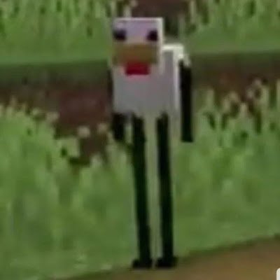 ErickRolda12569's profile picture. 