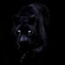 Corshundre (@corshundre) Twitter profile photo Corshundre (@corshundre) Twitter profile photo