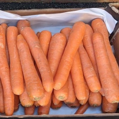 Buy cheap, high quality, locally grown, certified organic veg in Kidwelly