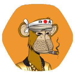 enanoland's profile picture. 1000X