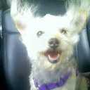 stacey gil - @staceygil1 - Twitter