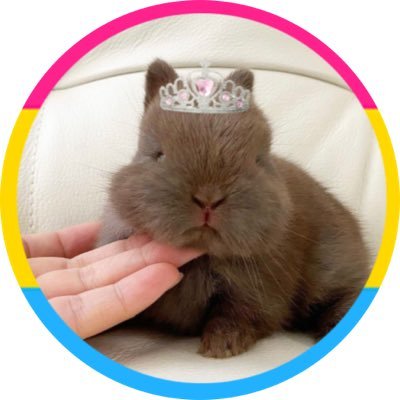 bunny,,. in hum & tummy town 🍬🐰 #1 aDorabl.. (๑・̑◡・̑๑) 🍭 #humtwt resident 💗 best buni in da,,. univrse ! ceo of kindness .. 🦄