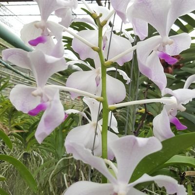 lt1Fn440ZiyYPBg's profile picture. 