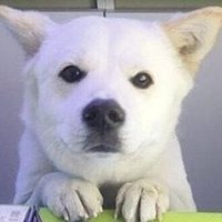 tikiti (@apppp4141) 's Twitter Profile