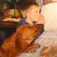 Dogs & Cats Lovers(@thedogshappyy) 's Twitter Profile Photo