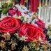 Day of thunderstorms 7755✨🌹🫶🏼🎆🌹✨🌝 (@minhqunnguynvn2) Twitter profile photo Day of thunderstorms 7755✨🌹🫶🏼🎆🌹✨🌝 (@minhqunnguynvn2) Twitter profile photo