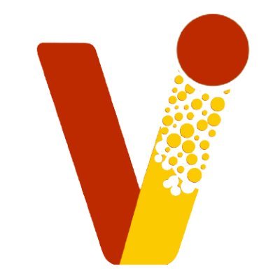 Vagmi Infotech Profile