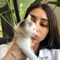 poetique (@ginodoogh) 's Twitter Profile