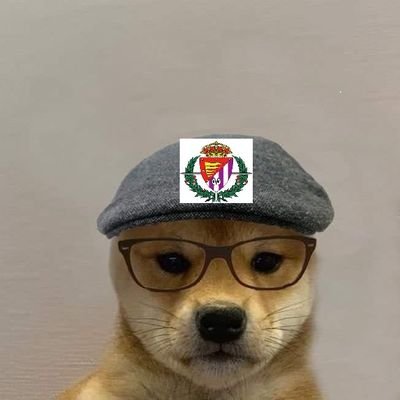 Me encanta ver reír a la gente que quiero🔥
Seguidor del Real Valladolid 💜 y del Swansea City 🦢