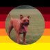StolzSchnitzel🇩🇪🦅 (@schnitzelcall) Twitter profile photo StolzSchnitzel🇩🇪🦅 (@schnitzelcall) Twitter profile photo