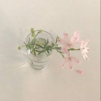 년정 (@yeoxjjuxx) 's Twitter Profile Photo 년정 (@yeoxjjuxx) 's Twitter Profile Photo