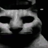 Legal Alien (@iustinian424) 's Twitter Profile