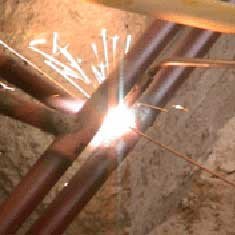 matlenzen's profile picture. 