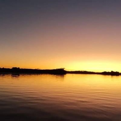 TodRCampbel's profile picture. 