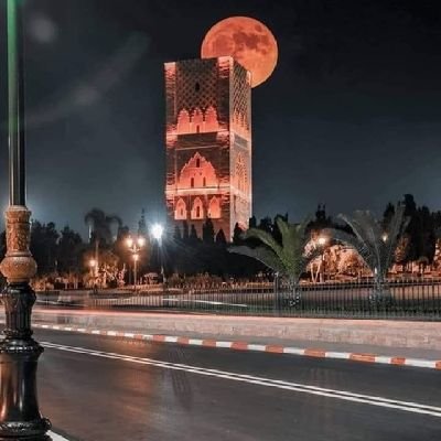 Mohamed21980611's profile picture. Egle de bouyablane