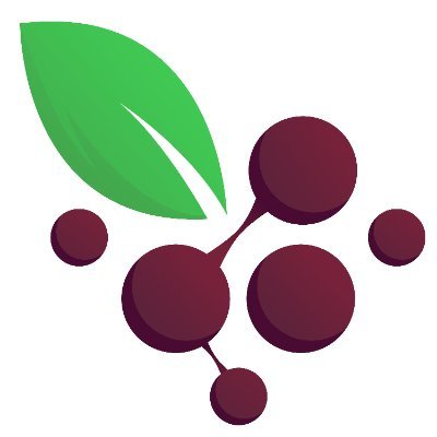 European Approach for Climate Change Mitigation and Adaptation in Montenegro Viticulture