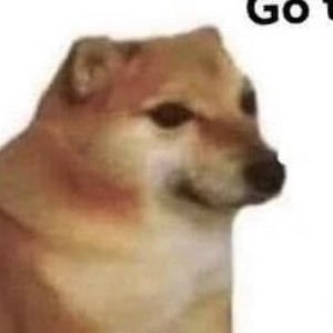 mnoraimann's profile picture. roses are red violets are blue omae wa mou shindeiru