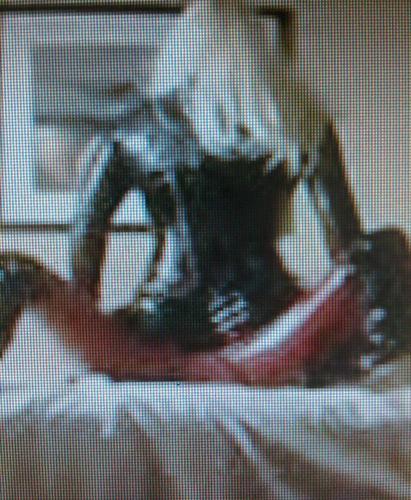 tiffanylatex's profile picture. TS just looking for some fun times, love the feel of latex and rubber....mmmmm