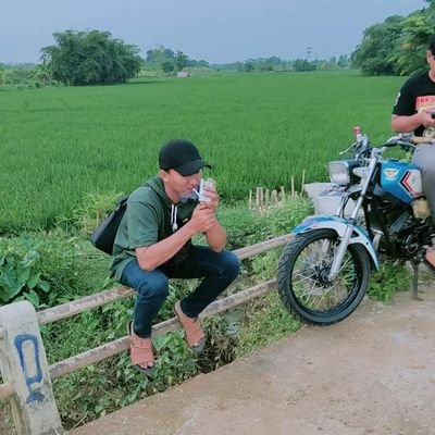 superpineclove's profile picture. 