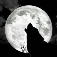 ูุงุตุฑ ุงูุนููู
ุฑ (@naserowaimer) 's Twitter Profile Photo ูุงุตุฑ ุงูุนููู
ุฑ (@naserowaimer) 's Twitter Profile Photo