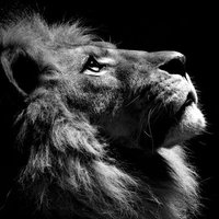 _Sharvesh_ (@hello_its_shar) 's Twitter Profile Photo _Sharvesh_ (@hello_its_shar) 's Twitter Profile Photo