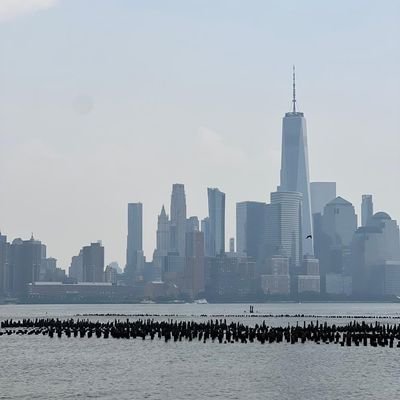 StAuggie9's profile picture. Handle your own business. Keep drama to yourself. Live your life and leave me to mine.