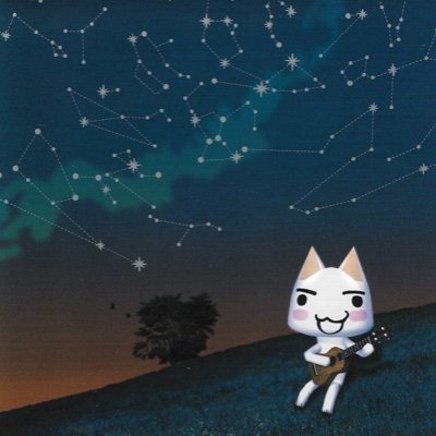 Elizabeth Saucedoさんのプロフィール画像