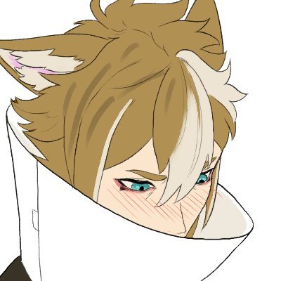 SFW  ||  20↑ 
- Genshin/Hsr 
- Multiship || switch