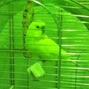 marco giancaspro - @MarcoGiancaspro - Twitter